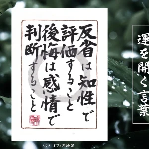 反省は知性で評価すること、後悔は感情で判断すること