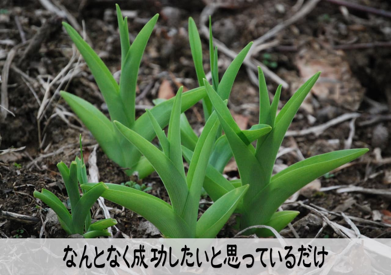 具体的な目標を設定するだけで成功へ近づく
