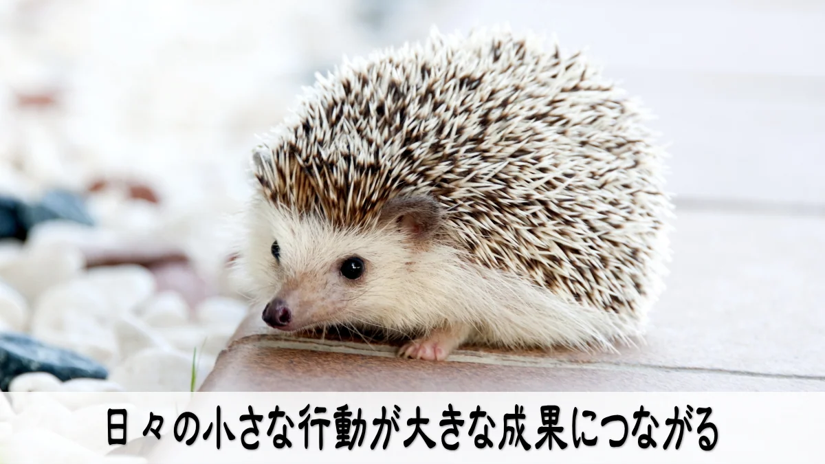 日々の小さな行動が大きな成果につながる
