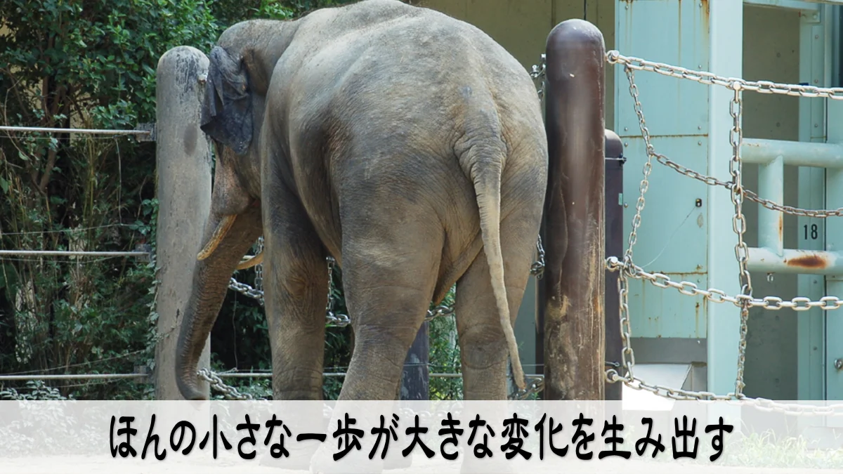 ほんの小さな一歩が大きな変化を生み出す
