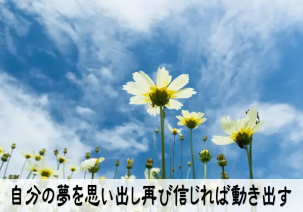 自分の夢を思い出し再び信じれば動き出す