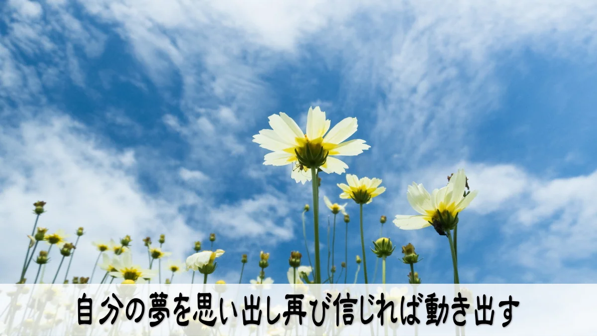 自分の夢を思い出し再び信じれば動き出す