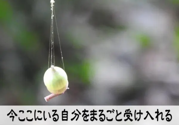 今ここにいる自分をまるごと受け入れる