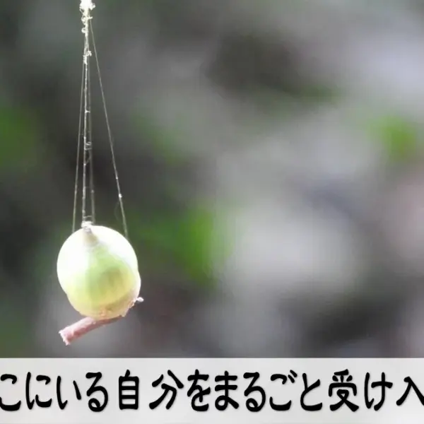 今ここにいる自分をまるごと受け入れる
