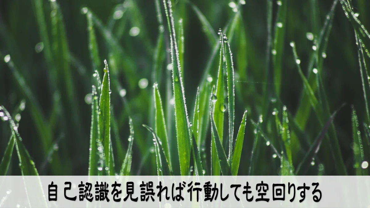 自己認識を見誤れば行動しても空回りする