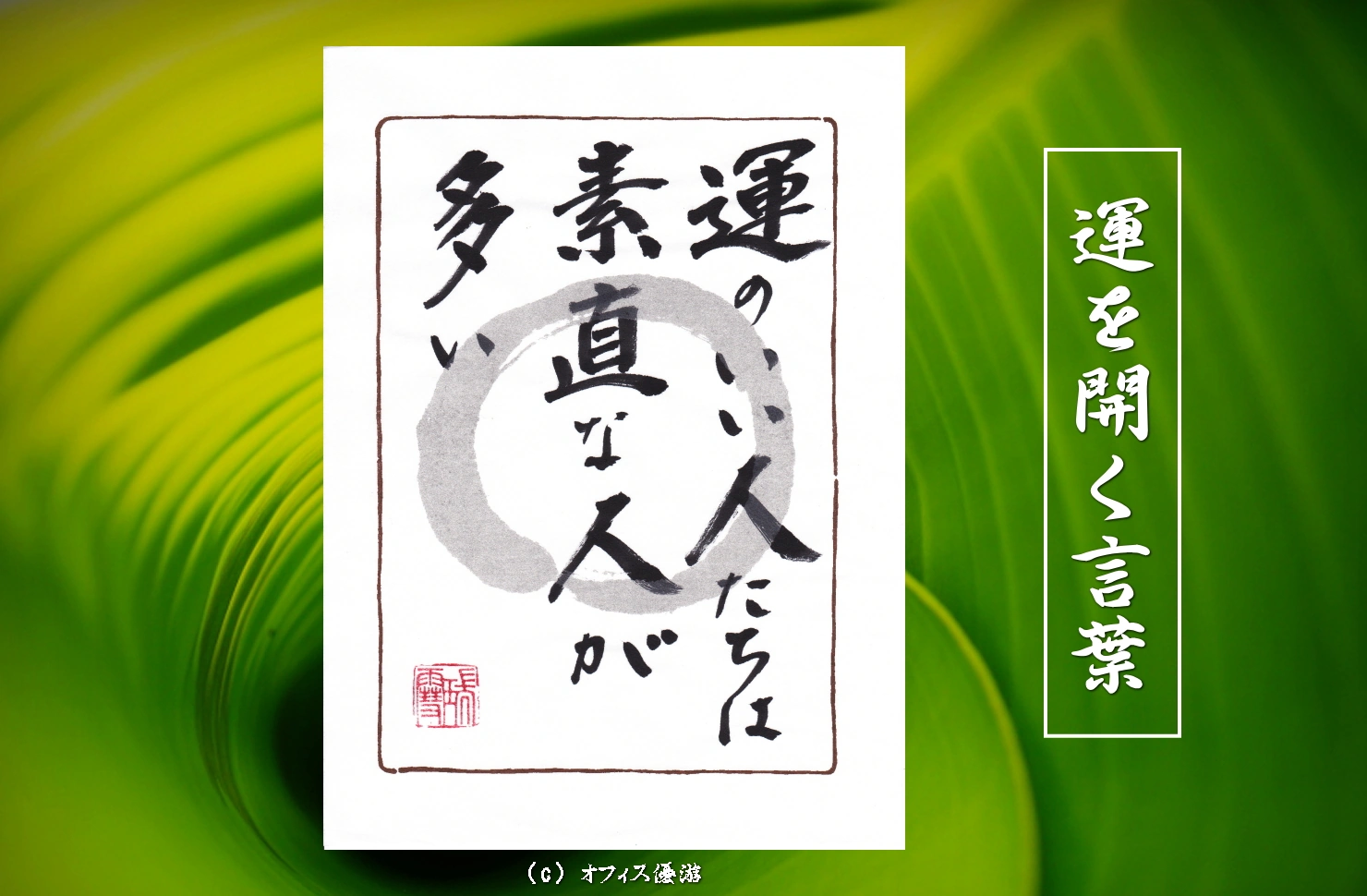 運のいい人たちは素直な人が多い