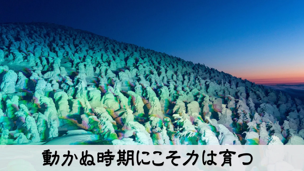 動かぬ時期にこそ力が育つというテーマを表現したイメージ写真