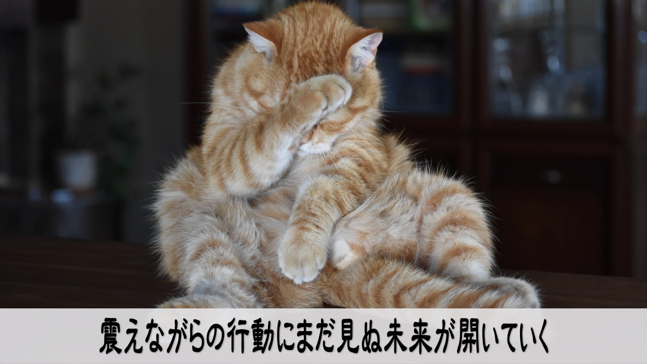 震えながらでも行動することでまだ見ぬ未来が開いていく瞬間を表すイメージ写真