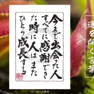 今まで出会った人全てに感謝できた時に人はまたひとつ成長する｜筆文字書作品