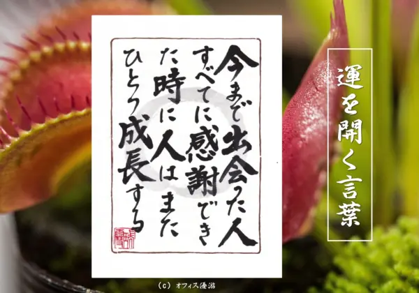今まで出会った人全てに感謝できた時に人はまたひとつ成長する｜筆文字書作品
