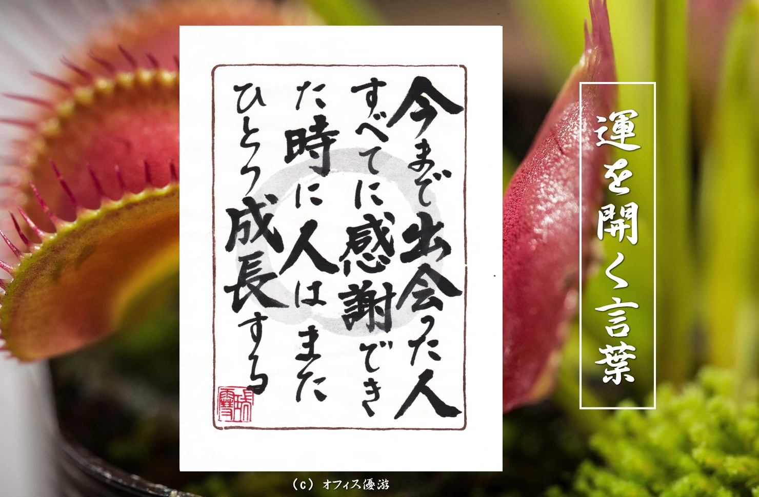 今まで出会った人全てに感謝できた時に人はまたひとつ成長する｜筆文字書作品
