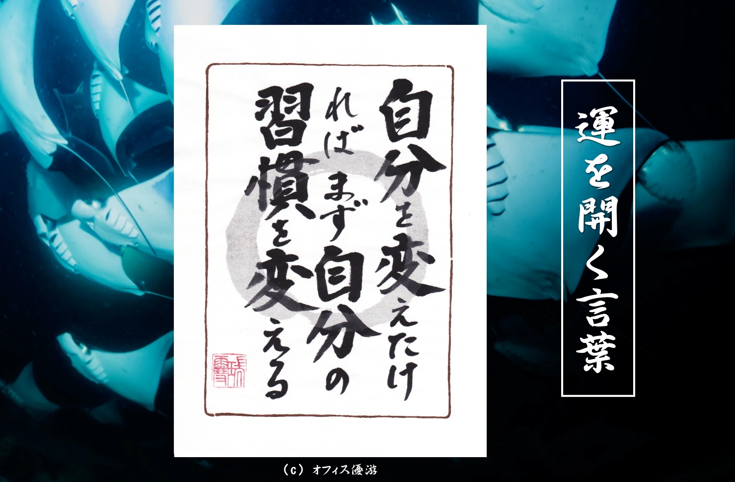自分を変えたければまず自分の習慣を変える｜筆文字書作品