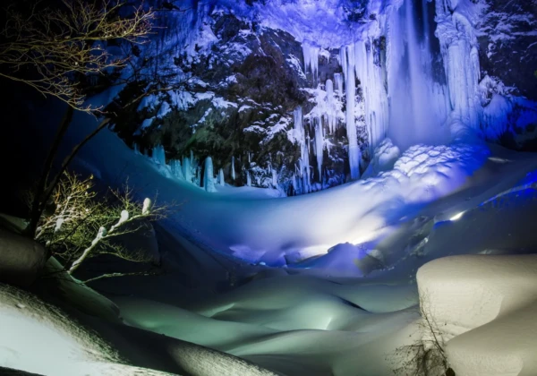 仕事の型を整え成果を積み上げる経営者の静かな自信