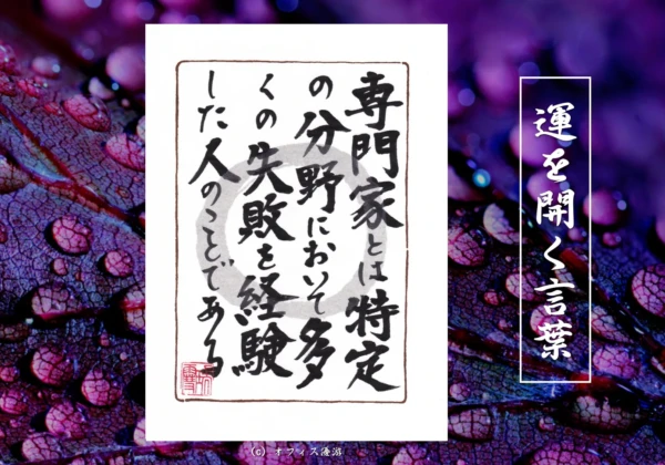 専門家とは特定の分野において多くの失敗を経験した人のことである｜筆文字書作品