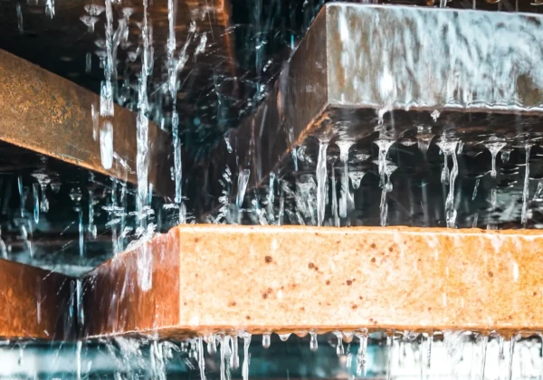 減らぬお金の流れを育てるために資産を整え、人生後半の安心を深めるイメージ