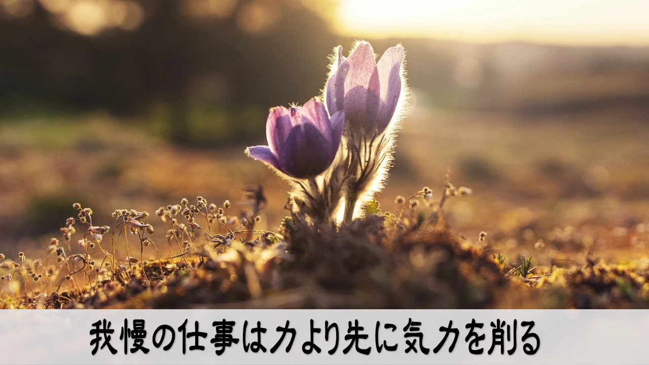 我慢の仕事を抱え続け気力が削られていく切なさ