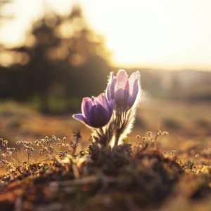 我慢の仕事を抱え続け気力が削られていく切なさ