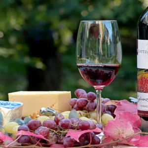 急がず一口を味わい体を育てる穏やかな食事時間