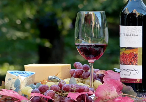 急がず一口を味わい体を育てる穏やかな食事時間