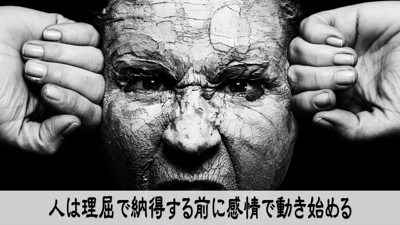 人は理屈より先に感情で動くことを理解し心を整える静かな場面