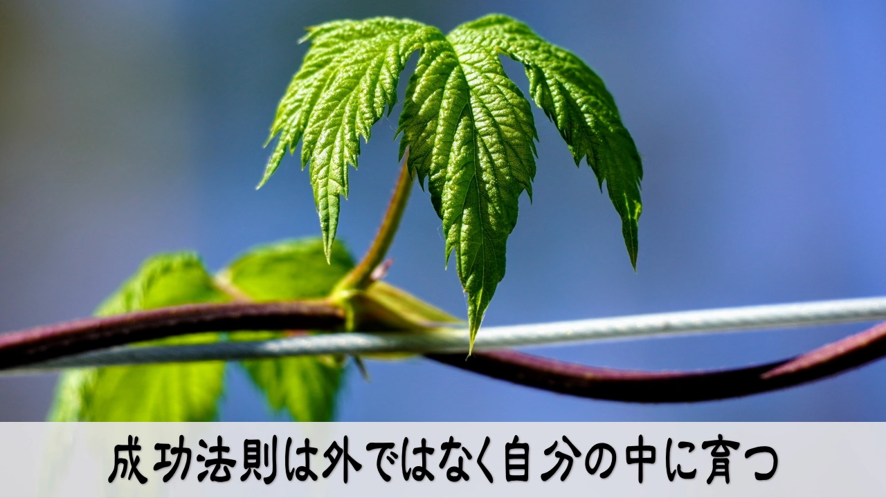 成功法則の誤解をテーマに、自分に合う続け方を見直し、安心して前へ進む人の画像