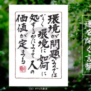 環境が問題なのではなく環境に如何に処するかによって人の価値が定まる｜筆文字書作品