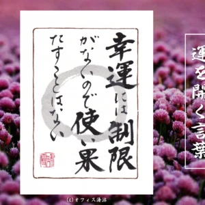 幸運には制限がないので使い果たすことはない｜筆文字書作品