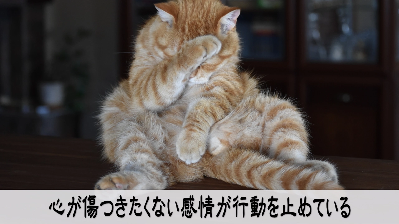 傷つきたくない感情が行動を止めていることに気づき心を落ち着かせる