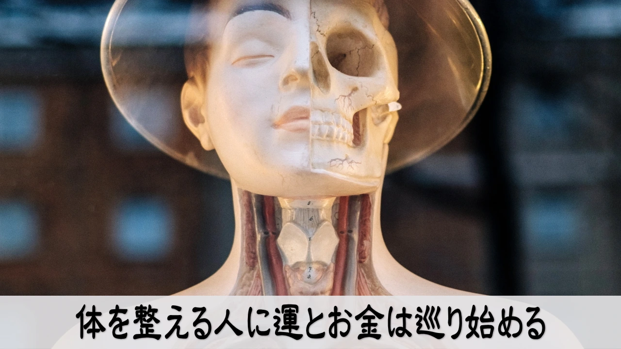 健康と金運を整え運とお金の流れを穏やかに巡らせる人
