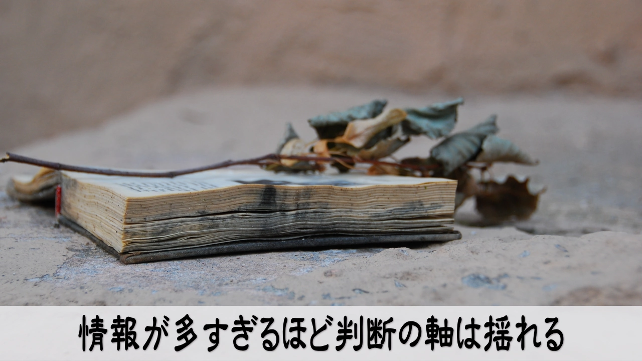 情報過多を見直し判断の軸を取り戻す不安な経営者